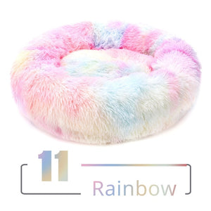 Rainbow pet bed